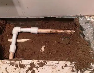 溆浦测漏水哪家好