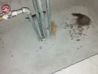 溆浦卫生间测漏水价格明细