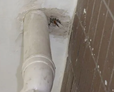 溆浦漏水检测哪家好